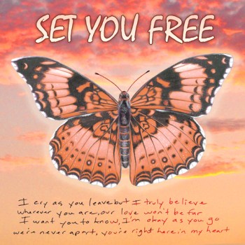 SET YOU FREE - Judy Unger