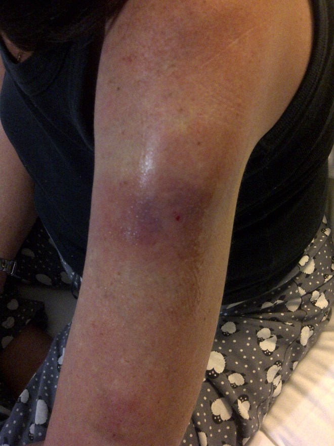 Alberton-20121206-01427