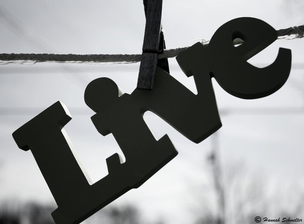 Live_Life_to_the_Fullest_by_HM_Photography