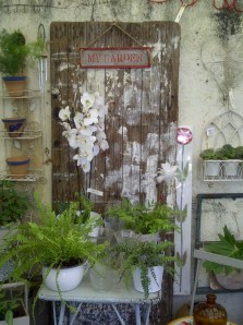 Stellenbosch-20130404-01794 (2)