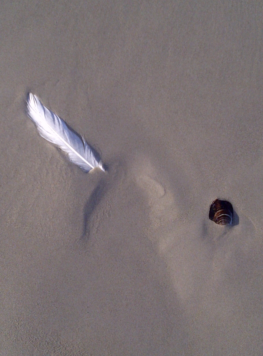 Strand-20130402-01750 (2)