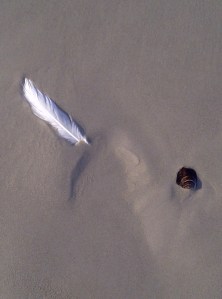 Strand-20130402-01750 (2)