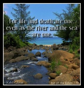 15929_491720234200656_1176029404_n