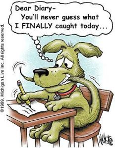 Untitled attachment 000349