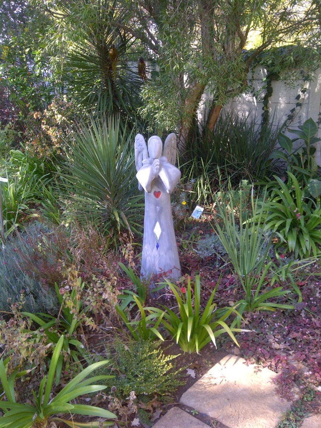 Alberton-20130611-01961