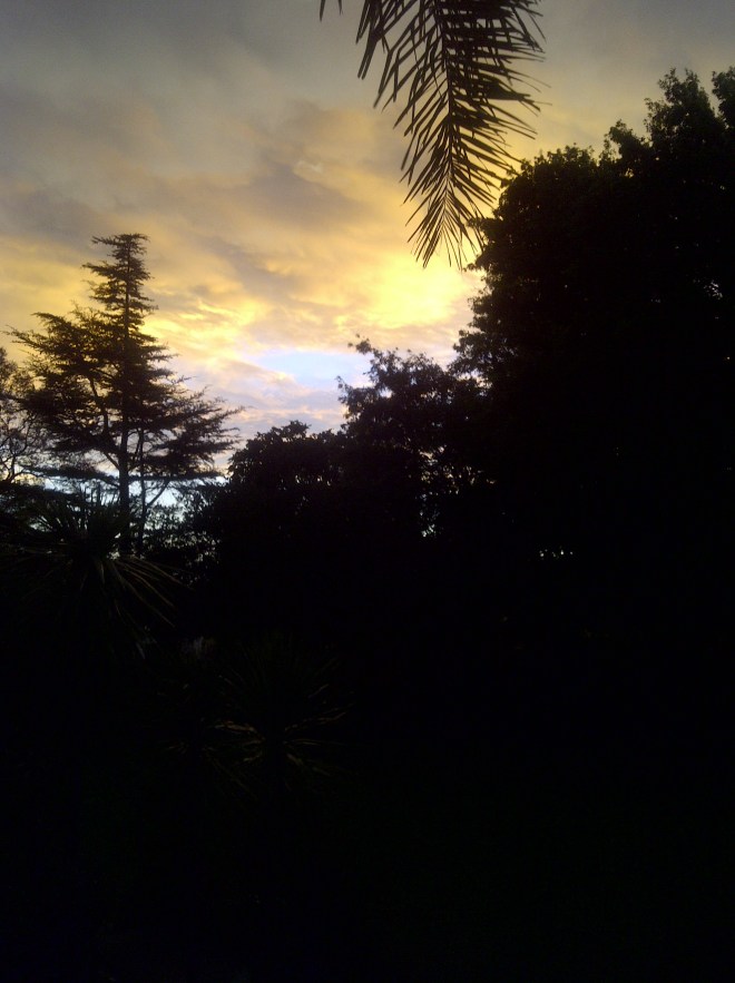 Alberton-20121021-01096