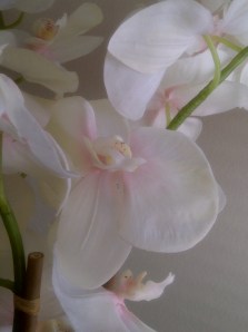 Kempton Park-20120914-00933