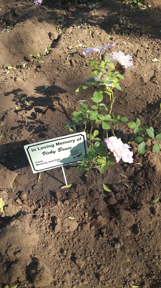 Vic's memorial Mother's Day Rose